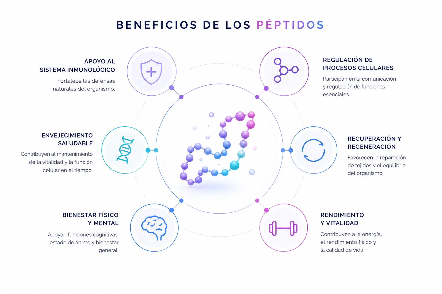 Beneficios de los péptidos: sistema inmunológico, regulación celular, envejecimiento saludable, recuperación, bienestar físico y mental, rendimiento y vitalidad